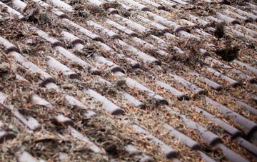 Beggars Ash roof cleaning companies