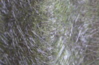 Beggars Ash fibreglass roof work